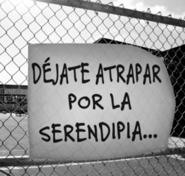 Serendipia1.redimensionado